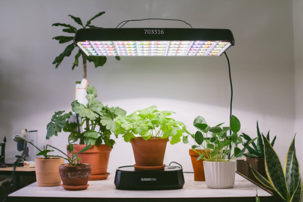 Model 703516 Grow Lamp Review